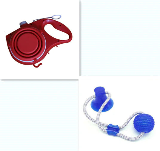 Travel Pet Leash Kit with Water Bottle
